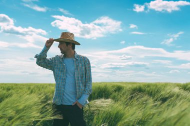 Erkek çiftçi buğday alanda yürüyüş