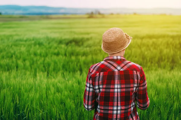 Kadın çiftçi buğday alanında daimi arka görünümü — Stok fotoğraf