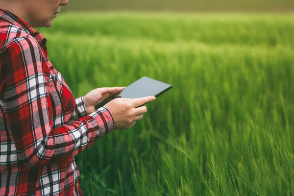 Kvinnliga jordbrukare använda tablet PC i vete gröda fält — Stockfoto