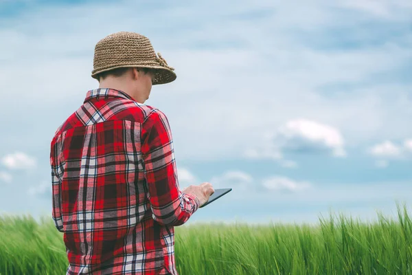 Výzkumník pomocí digitálních tabletu v pšeničné pole — Stock fotografie