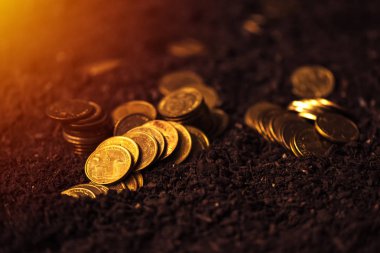 Tarımsal üretim, Sırp Dinarı Döviz Alım için banka kredileri
