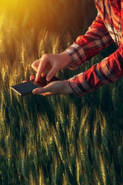 Ürün geliştirme analiz etmek için akıllı telefon app kullanarak Ziraat Mühendisi