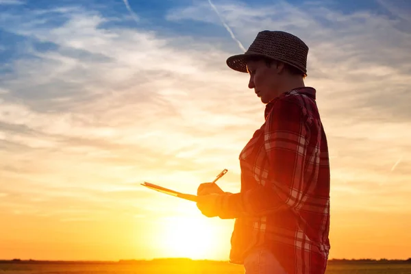 Sonnenuntergang Silhouette einer Bäuerin schreibt Notizen in Feld — Stockfoto