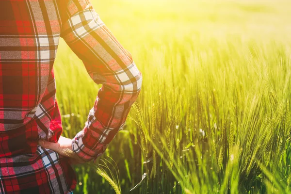 Agricultora feminina olhando para o sol no horizonte — Fotografia de Stock