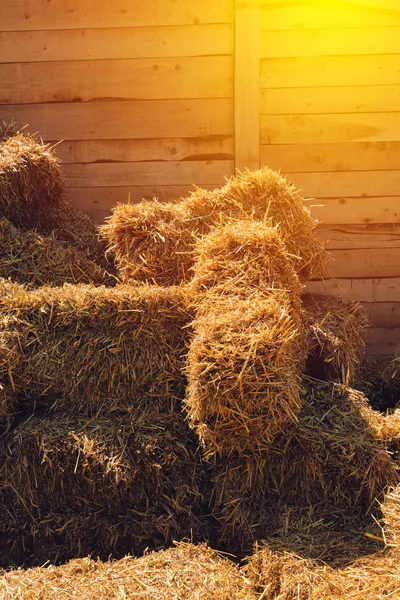 Dry baled hay stack — Stock Photo, Image
