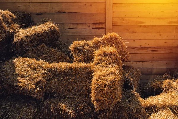 Dry baled hay stack — Stock Photo, Image