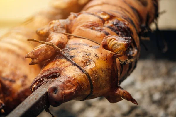 Pig roasted on a spit — Stock Photo, Image