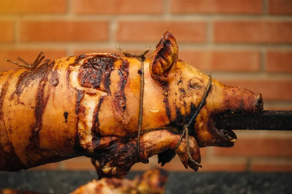Pig roasted on a spit — Stock Photo, Image