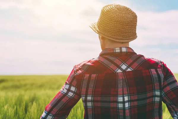 Concepto de agricultura responsable, agricultora en cultivos de cereales fi — Foto de Stock