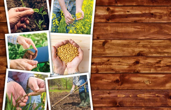 Agricultural occupation and activity collage photo — Stock Photo, Image