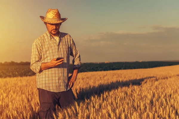 Retro getinte afbeelding van landbouwer van de landbouwingenieur gebruik mobiele telefoon — Stockfoto