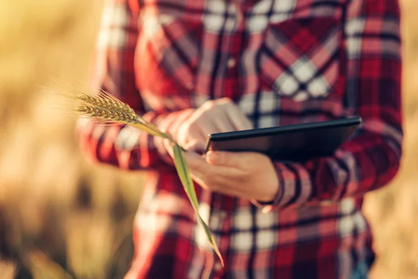 Chytré hospodaření, pomocí moderních technologií v zemědělství — Stock fotografie