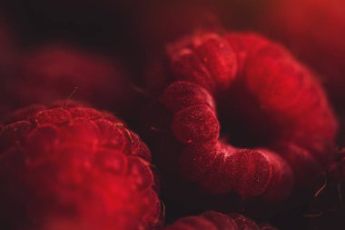 Olgun ahududu meyve, makro çekim