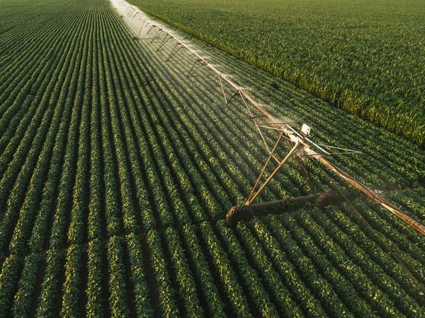 Aerial view of irrigation equipment watering green soybean crops — Stock Photo, Image