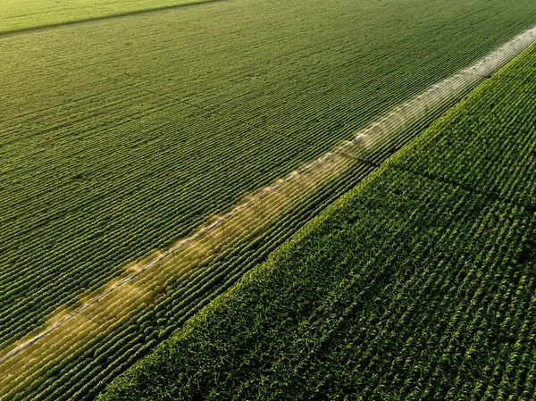 Aerial view of irrigation equipment watering green soybean crops — Stock Photo, Image