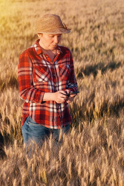 Female farmer standing in wheat field and using mobile phone — Stock Photo, Image