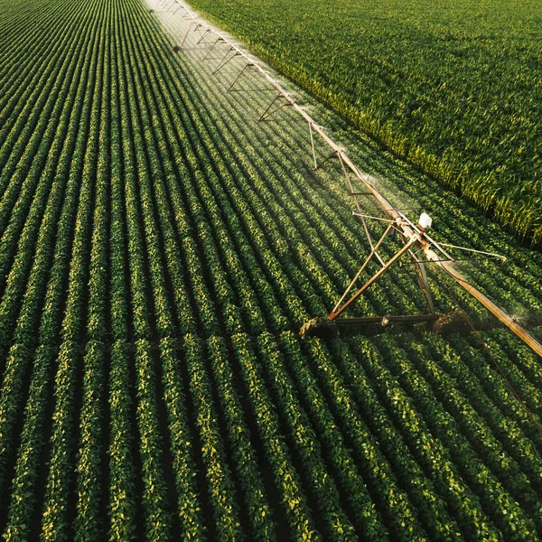 Vista aérea del equipo de riego riego de cultivos de soja verde —  Fotos de Stock