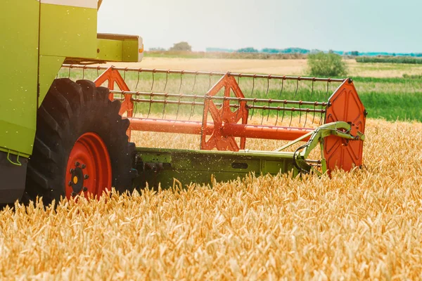 Combineren van harvester machine rijp tarwe oogsten — Stockfoto