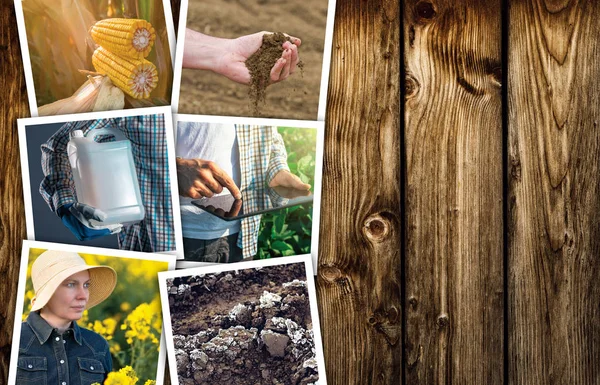 Occupazione agricola e attività collage foto — Foto Stock