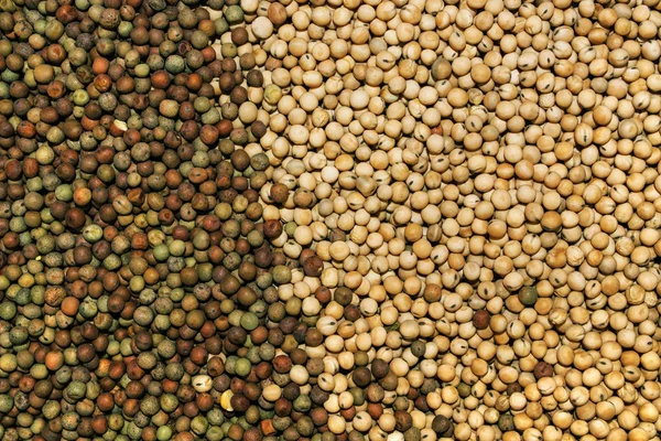 Heap of agricultural crop seed as background — Stock Photo, Image