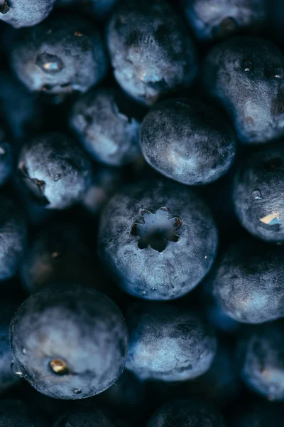 Yaban mersini kazık yakın çekim
