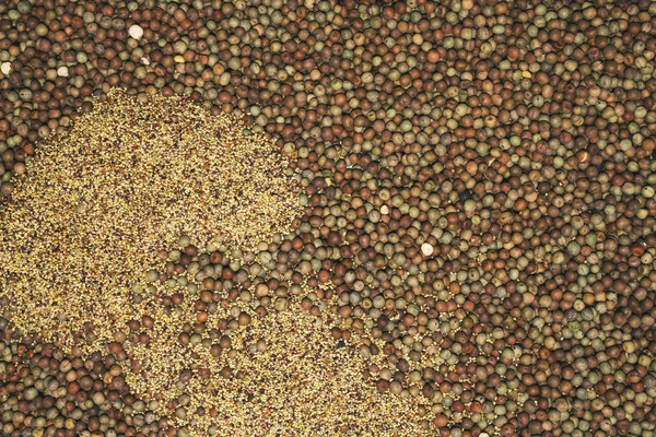 Heap of agricultural crop seed as background — Stock Photo, Image