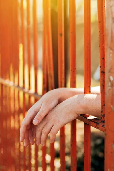 Female hands behind prison yard bars — Stock Photo, Image