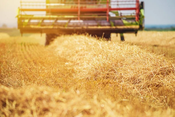 Combineren van harvester machine rijp tarwe oogsten — Stockfoto