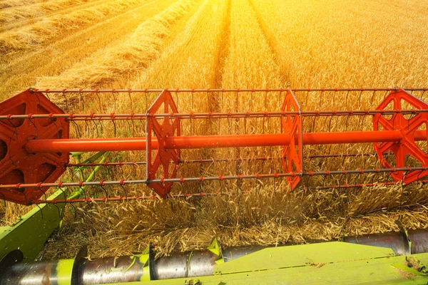 Combine harvester revolving reel harvesting wheat crops — Stock Photo, Image