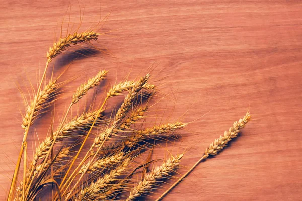 Ржаные колосья пшеницы на фоне фанеры — стоковое фото