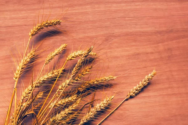 Rye trigo orelhas no fundo de madeira compensada — Fotografia de Stock