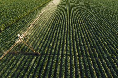 Aerial view of irrigation equipment watering green soybean crops clipart
