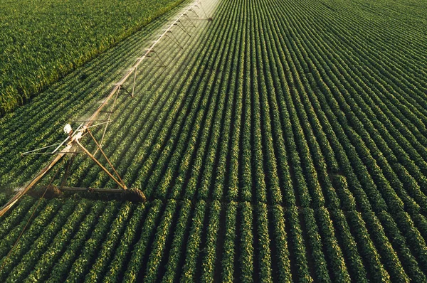 Vista aerea di impianti di irrigazione irrigazione colture di soia verde — Foto Stock