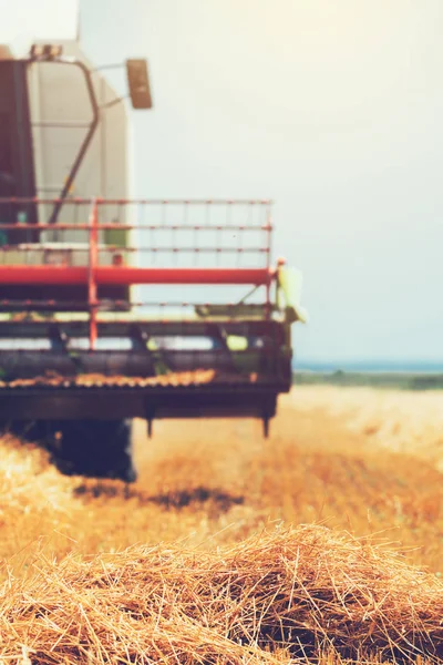 Combine Harvester máquina de colheita culturas de trigo maduro — Fotografia de Stock