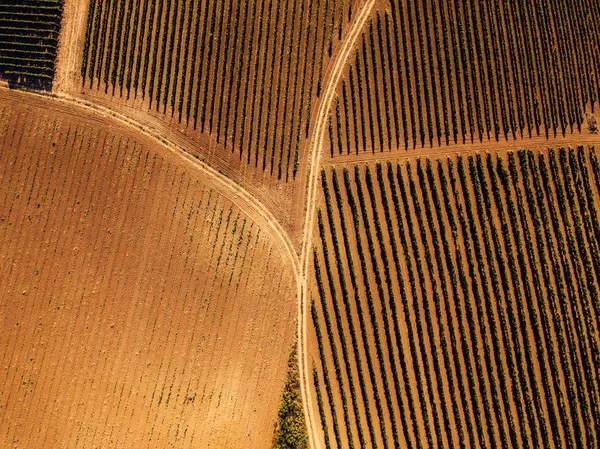 Platteland landschap als achtergrond voor abstrat — Stockfoto