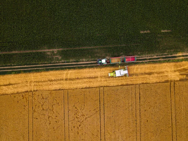 Hava görünümünü birleştirmek biçerdöver boşaltma hasat buğday — Stok fotoğraf