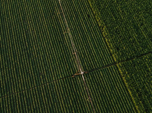 Вид с воздуха на оросительное оборудование, полив зеленых соевых культур — стоковое фото