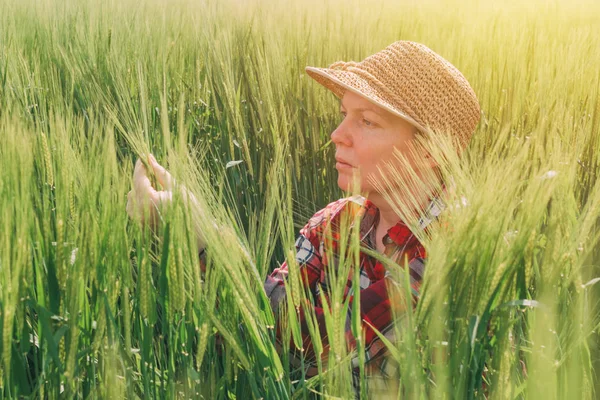 Agricultora examinando as espigas de trigo no campo — Fotografia de Stock