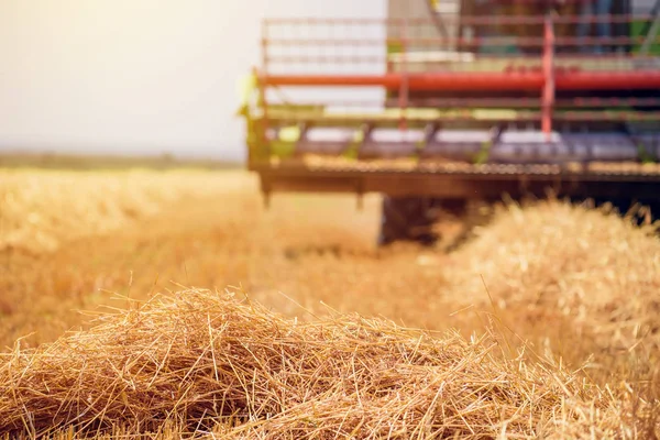 Combine harvester machine harvesting ripe wheat crops — Stock Photo, Image