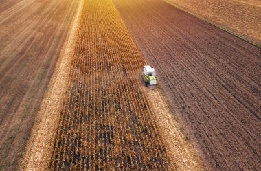Mısır mısır hasat, hava görünümünü birleştirmek hasat