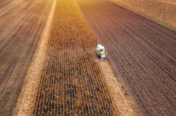 Raccolta del mais, vista aerea della mietitrice — Foto Stock