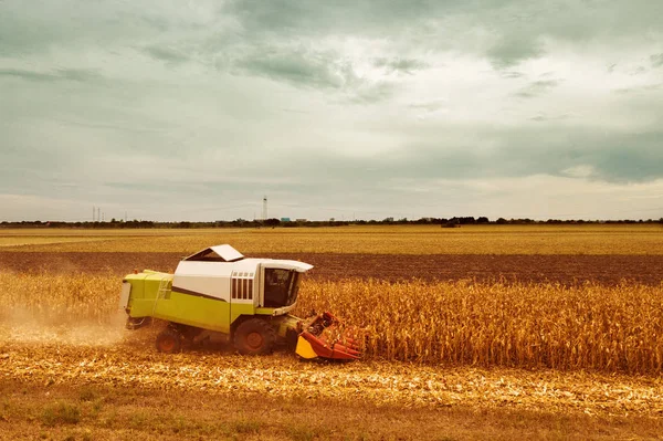 Corn maize harvest, aerial view of combine harvester — Stock Photo, Image