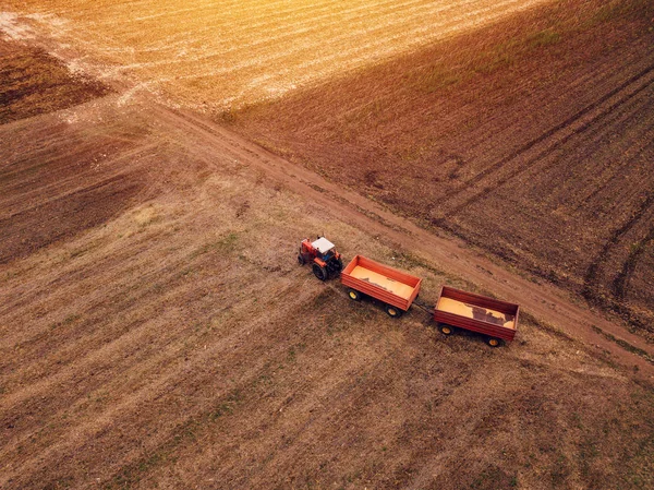 Mısır mısır hasat, traktörün havadan görünümü — Stok fotoğraf