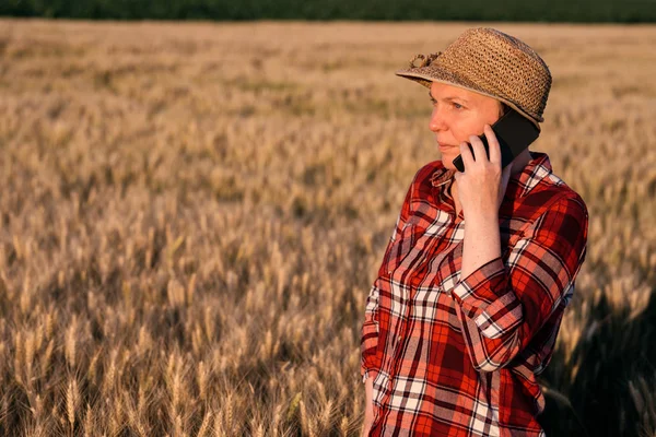 Agricoltrice nel campo di grano che parla sul cellulare — Foto Stock