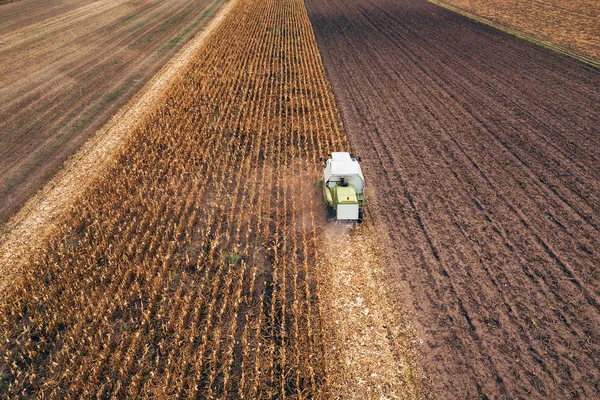 Mısır mısır hasat, hava görünümünü birleştirmek hasat