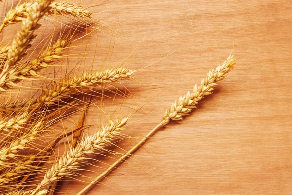 Ржаные колосья пшеницы на фоне фанеры — стоковое фото