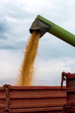 Birleştirme hasat burgu boşaltma traktör mısır hasat tr
