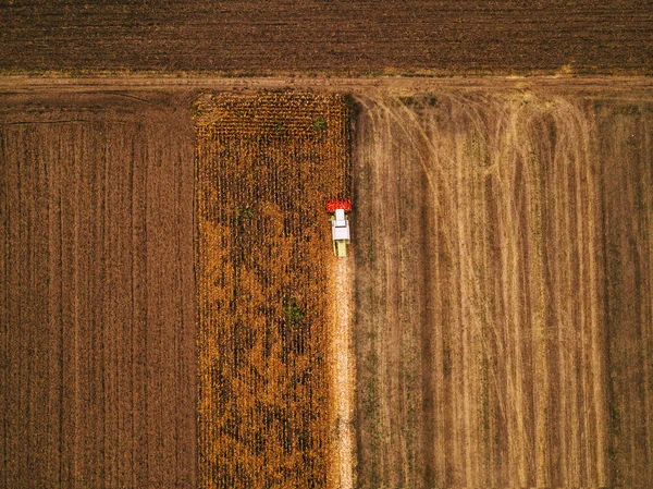 Vista aérea de la cosecha combinada del campo de maíz —  Fotos de Stock