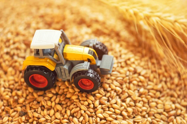 농업 트랙터 장난감 및 수확 — 스톡 사진