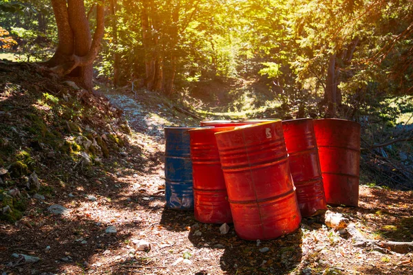 Toxic waste barrels in the forest — Stock Photo, Image